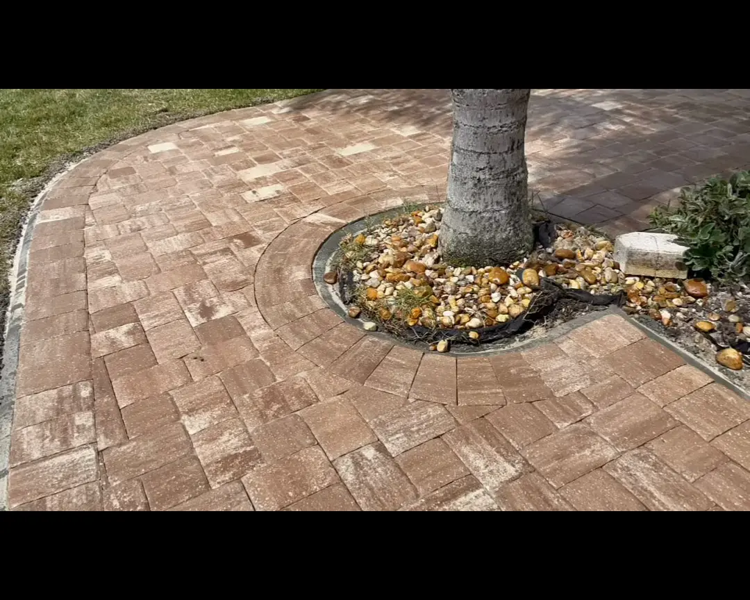 Paver ring around a tree with a clean border